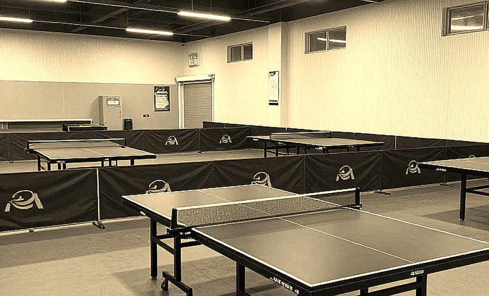 The Empty Dossier and the Racket That Will Never Appear in a Spreadsheet: Lessons from Hai Phong Table Tennis Academy