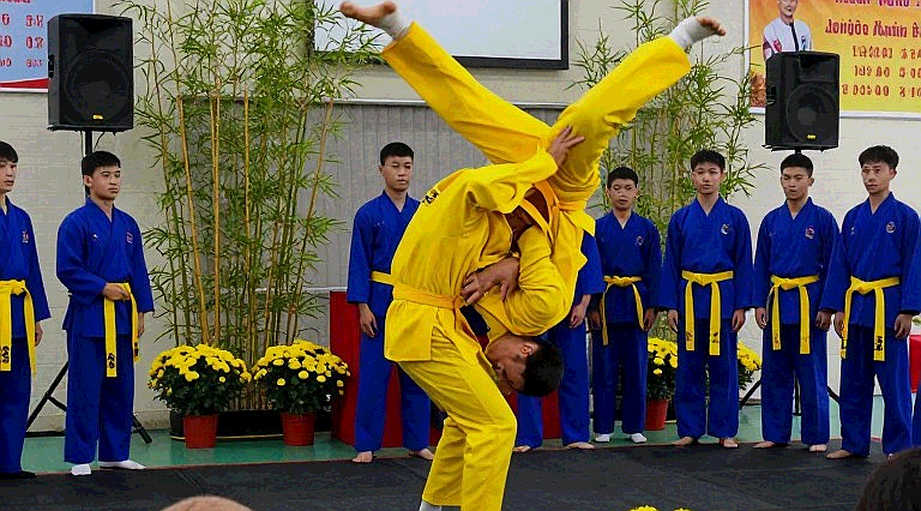 Phân loại sai môn võ, phân tích lệch bản chất